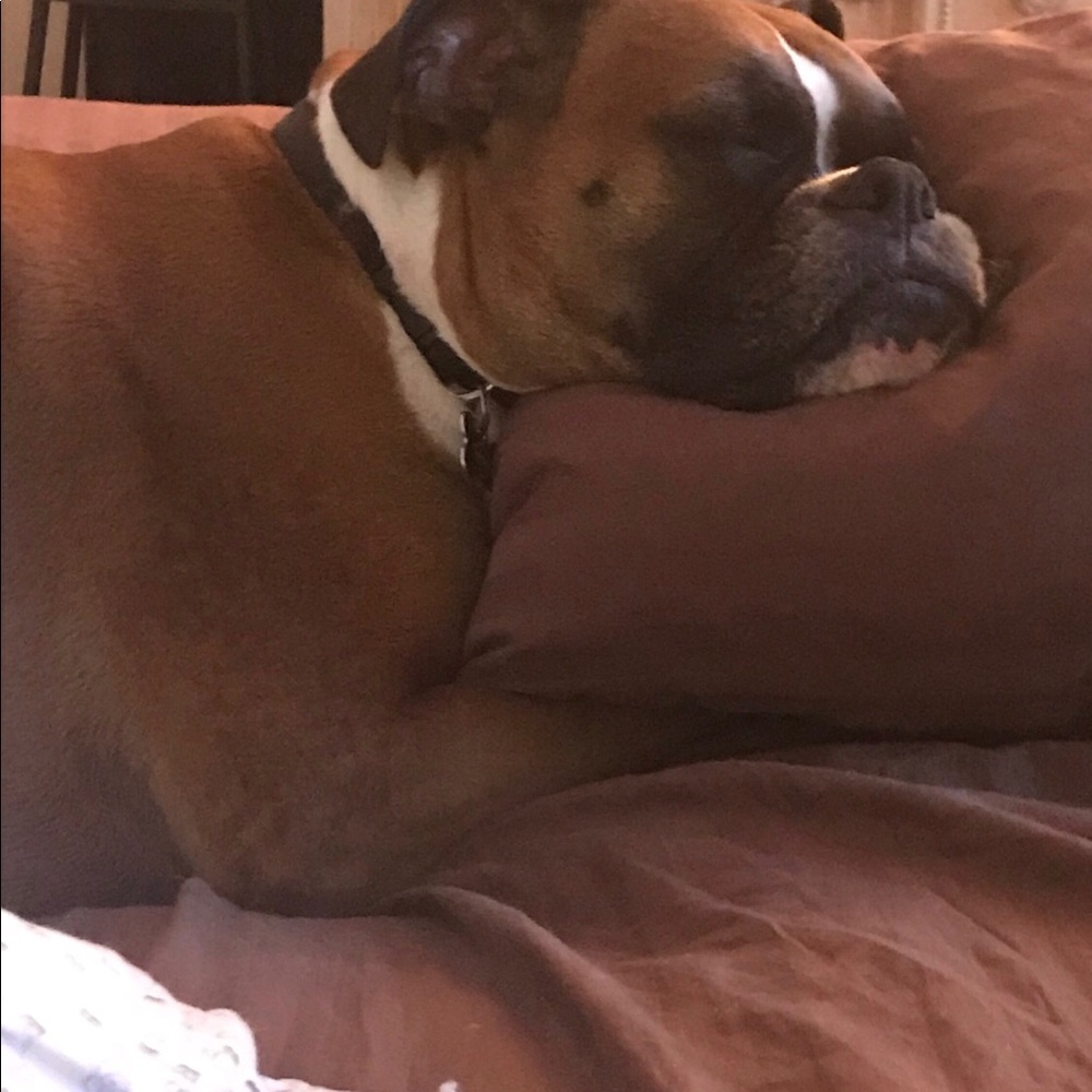 Meet your Posher, Vetia